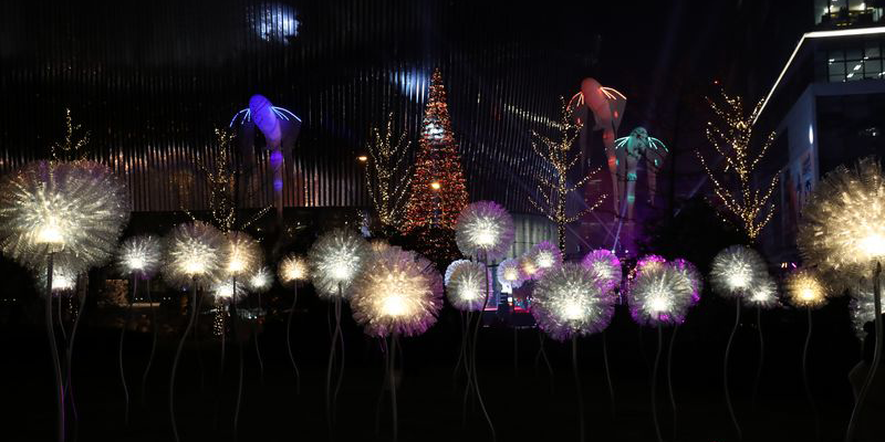 Artistic light display with glowing flowers and trees at night