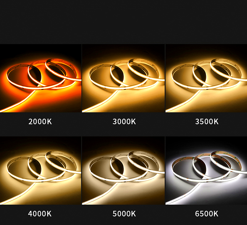 Comparison of LED strip lights displaying different color temperatures from 2000K to 6500K including warm white and cool white options